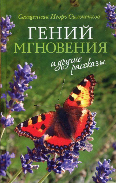 Гений мгновения и другие рассказы. Священник Игорь Сильченков